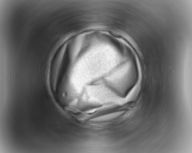 X0000088041245200706011318