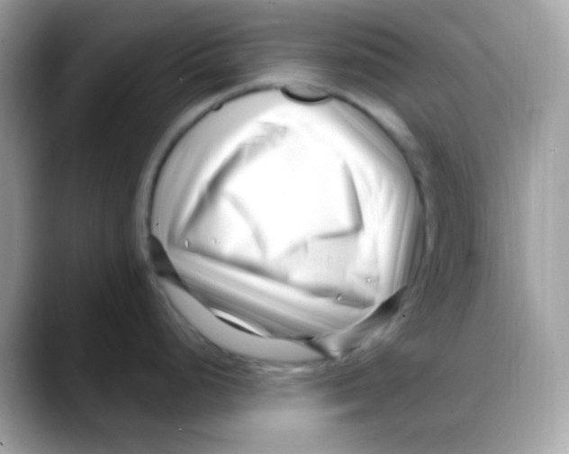 X0000088041248200706011318