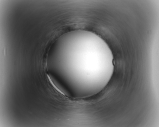 X0000088041250200706011317