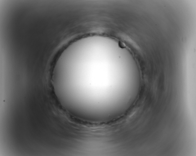 X0000088041256200706011317