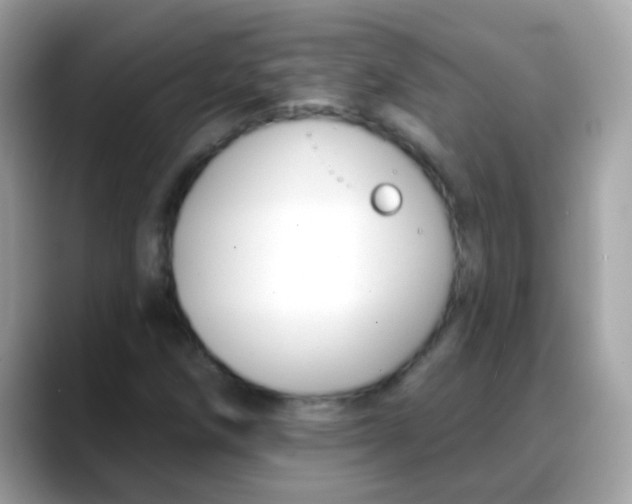 X0000088041258200706011317