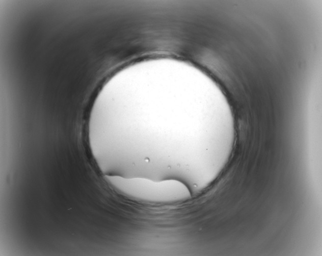 X0000088041260200706011317