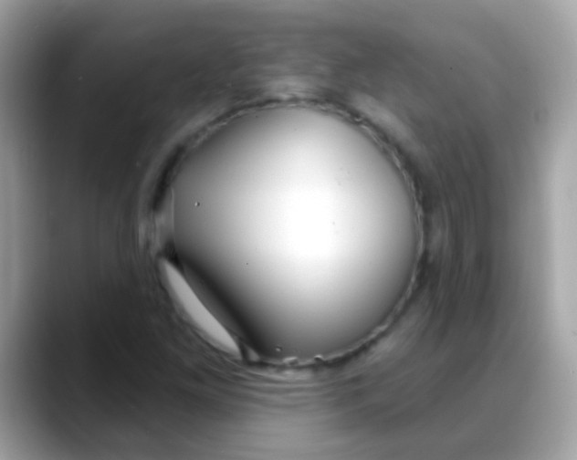 X0000088041261200706011317