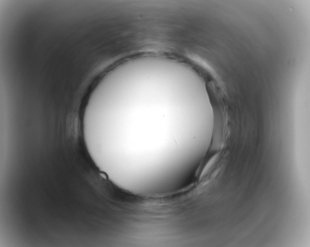 X0000088041267200706011317