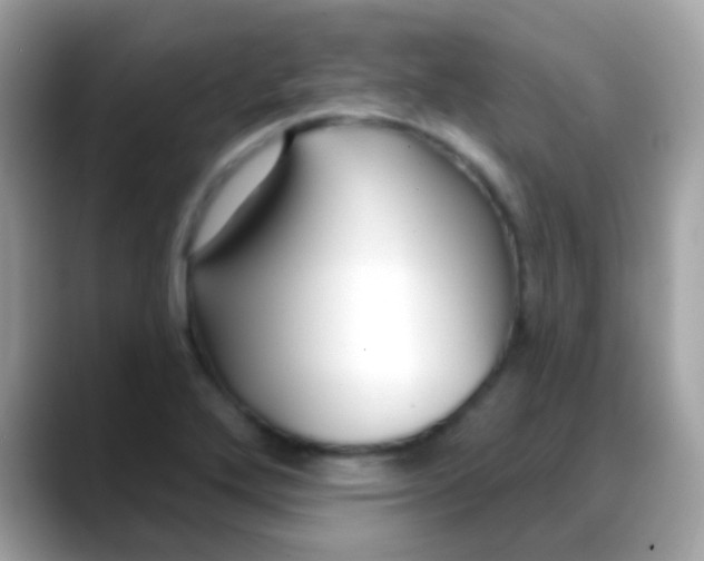 X0000088041272200706011317