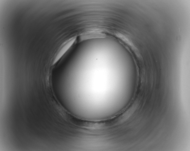 X0000088041273200706011317