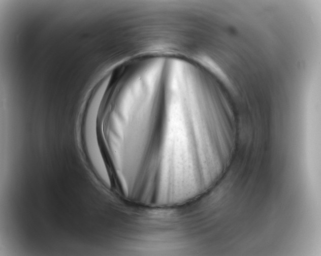 X0000088041277200706011317