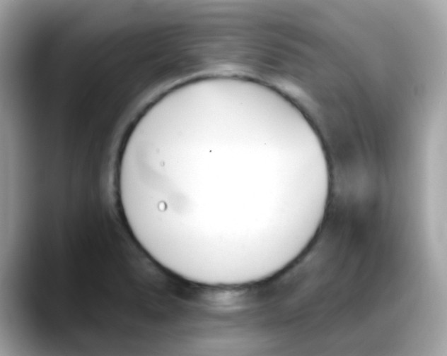 X0000088041278200706011317