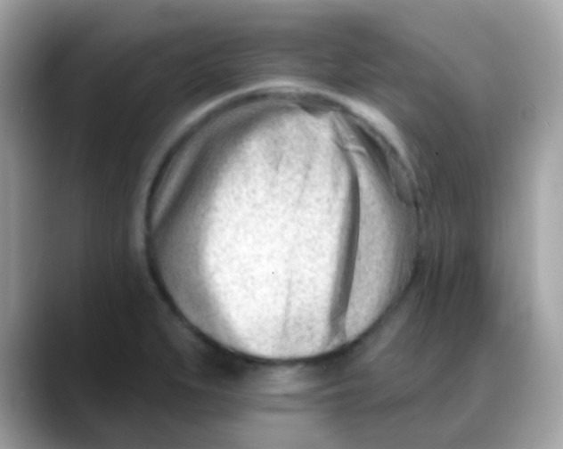 X0000088041279200706011317