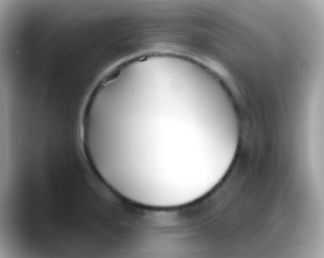 X0000088041280200706011317