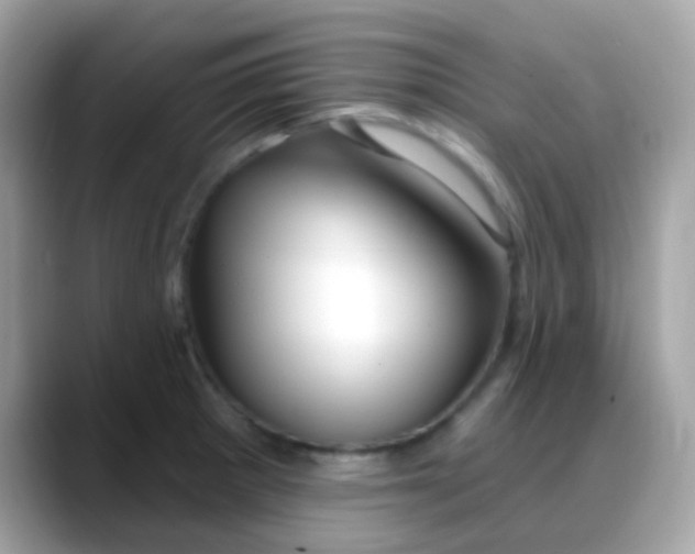 X0000088041281200706011317