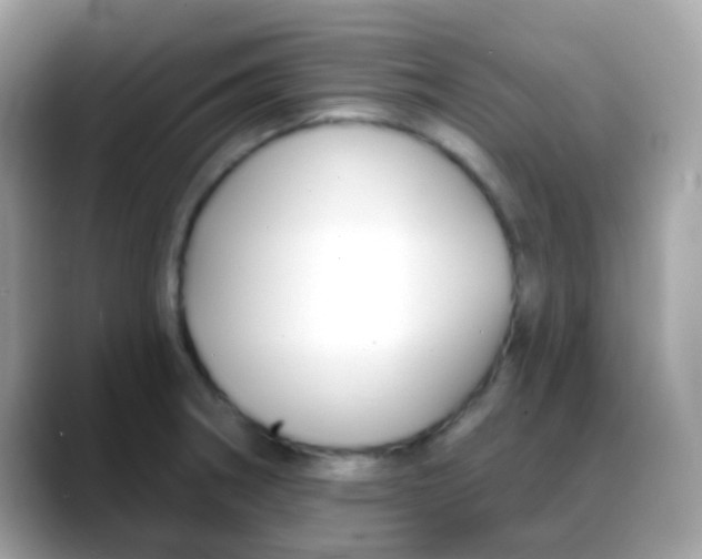 X0000088041282200706011317