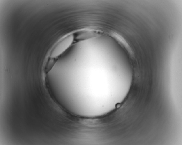 X0000088041284200706011317