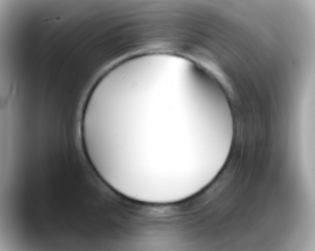 X0000088041288200706011317