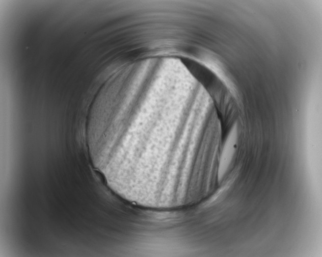 X0000088041289200706011317