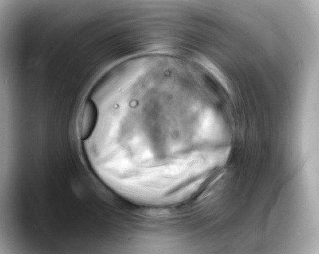 X0000088041291200706011317