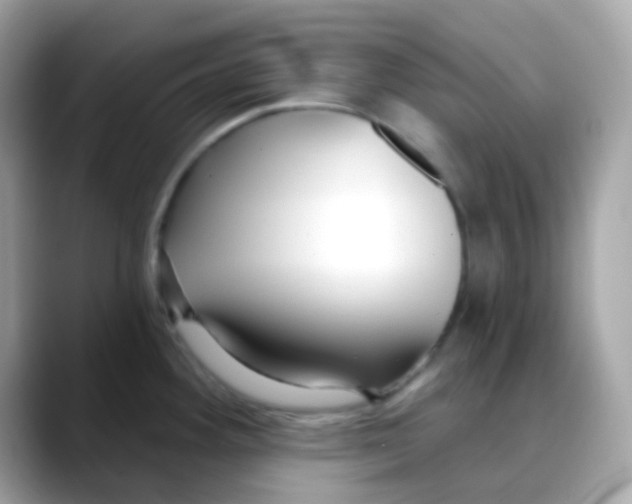 X0000088041292200706011317