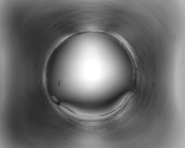 X0000088041293200706011317