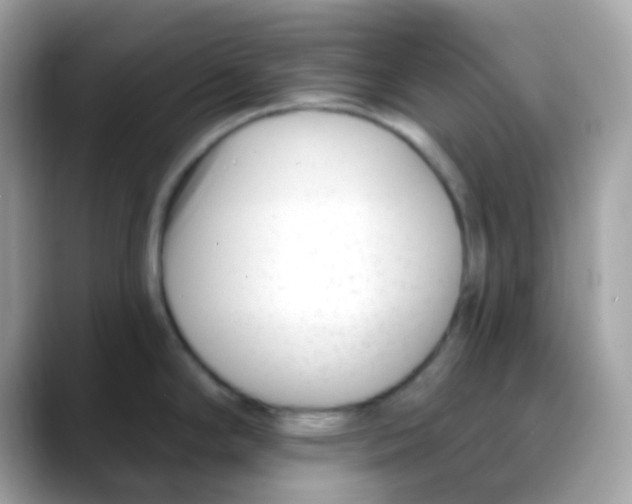 X0000088041294200706011317