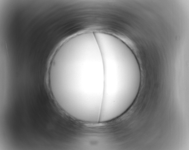 X0000088041296200706011317