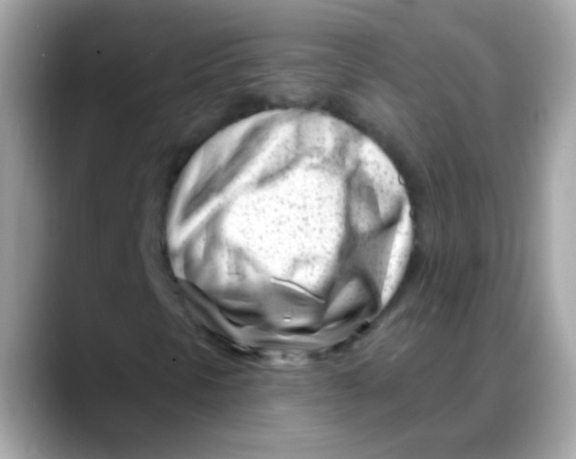 X0000088041297200706011316