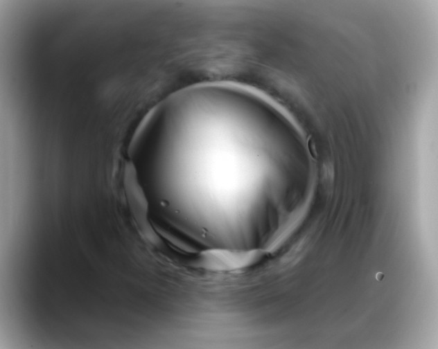 X0000088041300200706011316