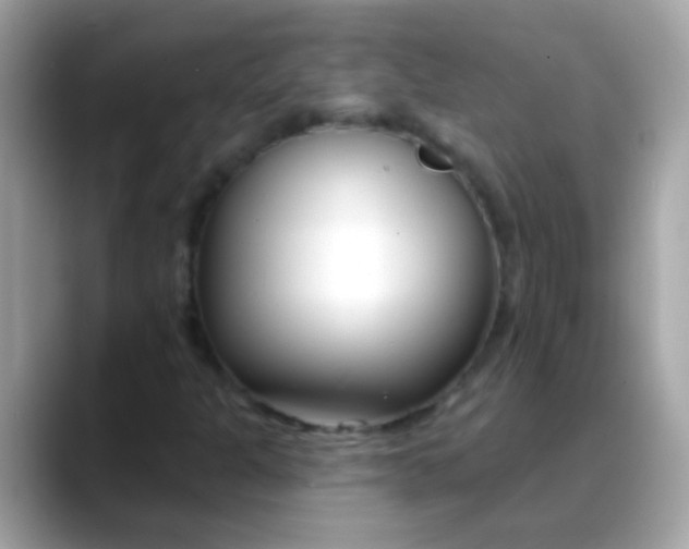 X0000088041301200706011316