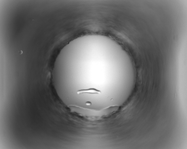 X0000088041302200706011316