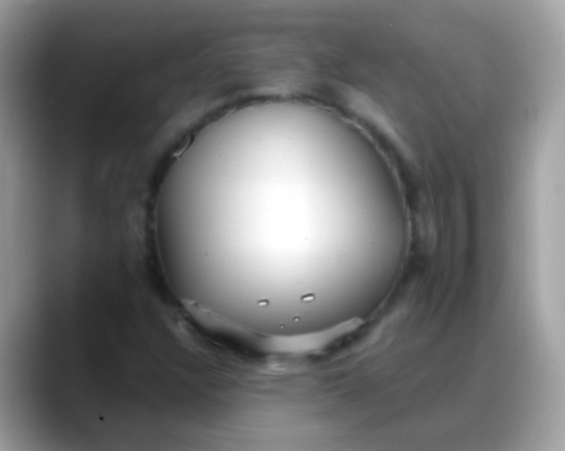 X0000088041304200706011316