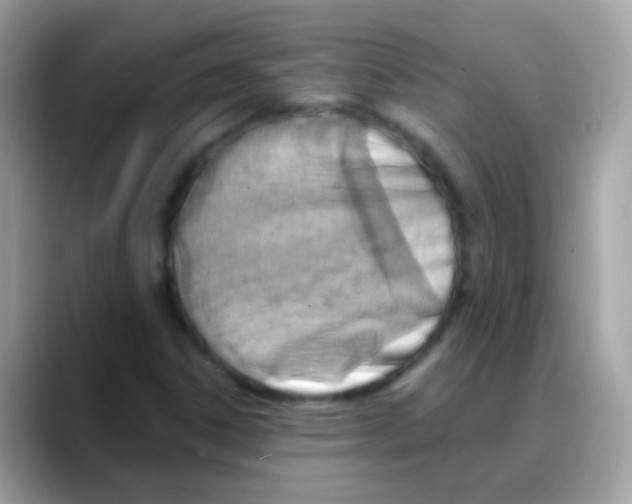 X0000088041306200706011316