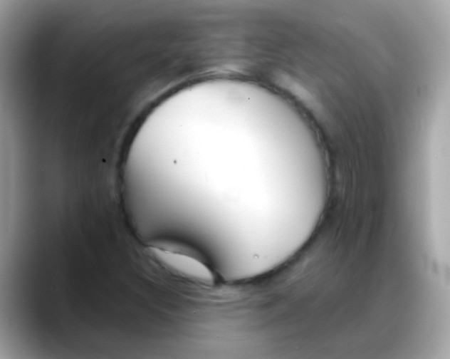 X0000088041308200706011316