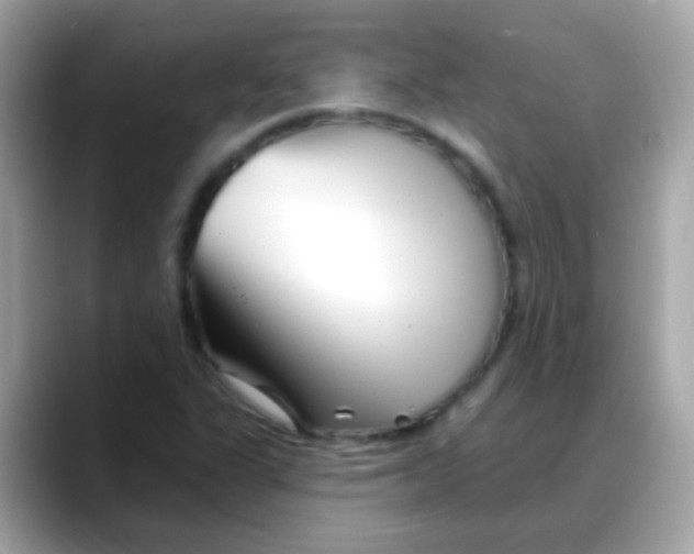 X0000088041311200706011316