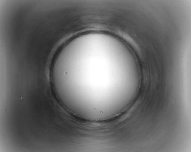 X0000088041318200706011317