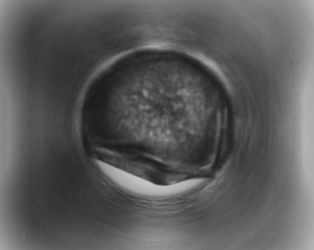 X0000088041319200706011317