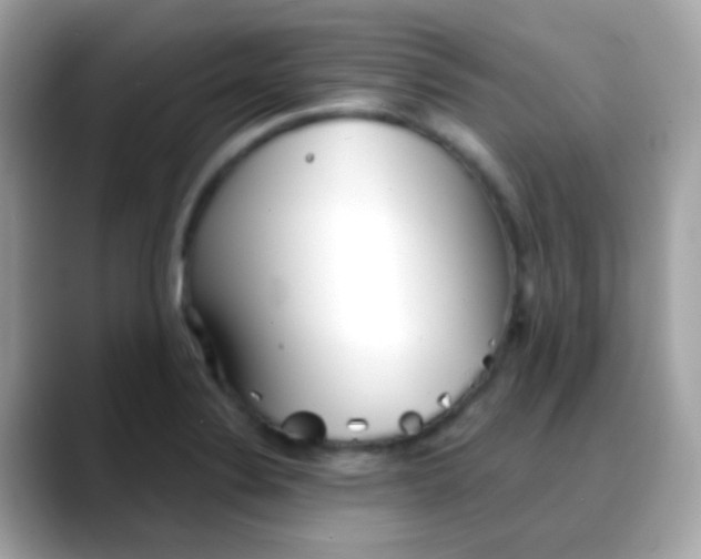 X0000088041324200706011317