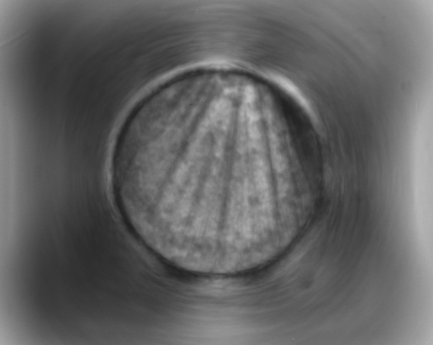 X0000088041327200706011317