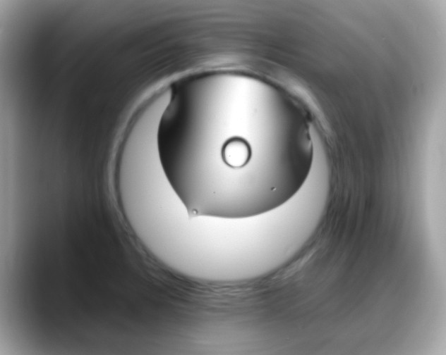 X0000088041328200706011317