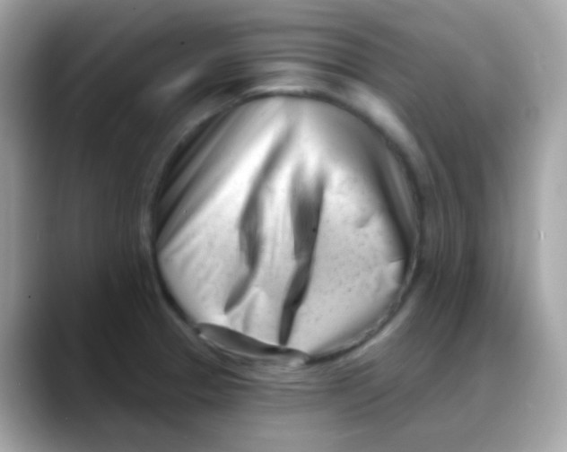 X0000088041329200706011317