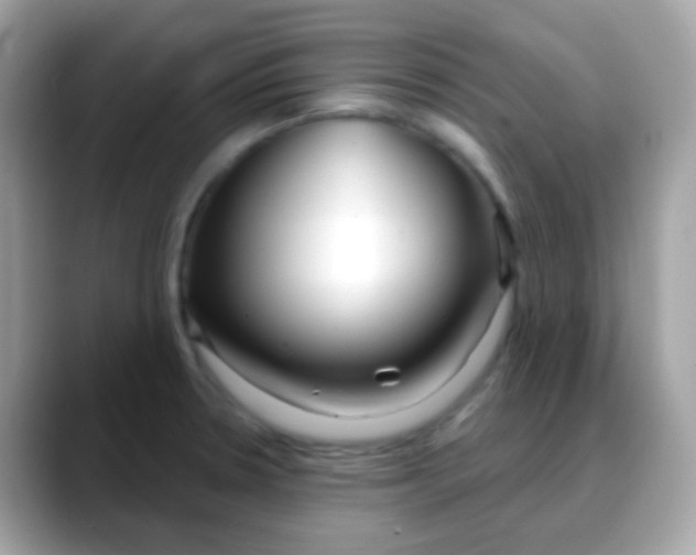 X0000088041330200706011317