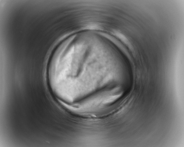 X0000088041331200706011317