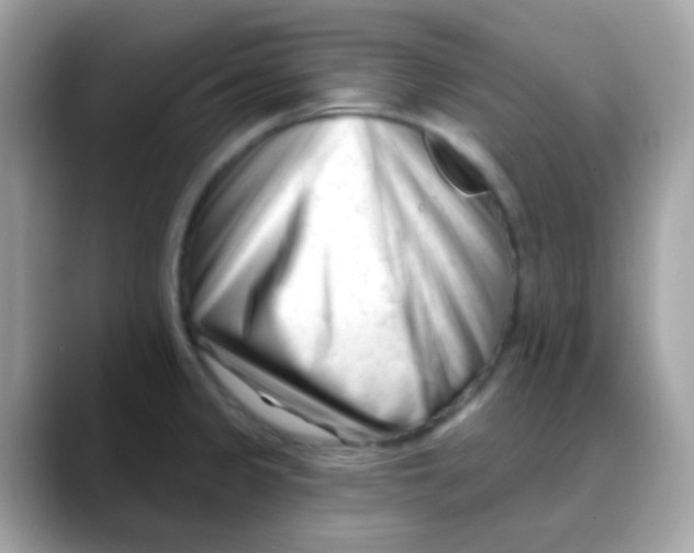 X0000088041333200706011317