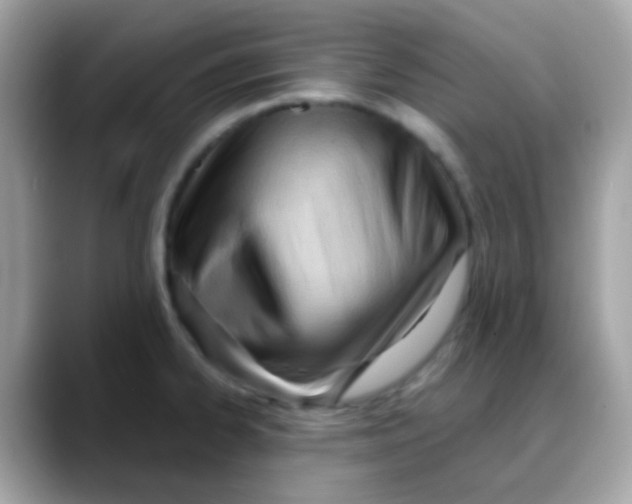 X0000088041334200706011317