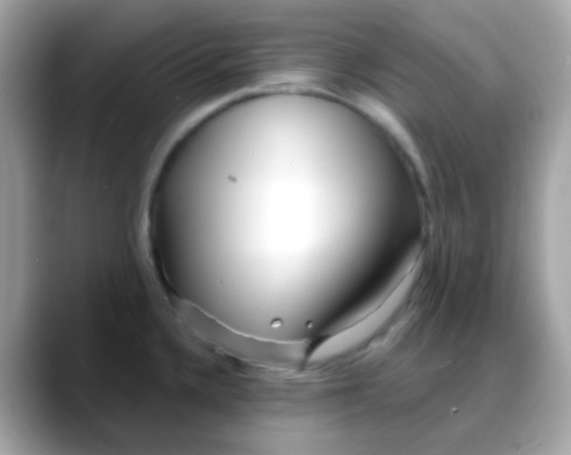 X0000088041336200706011317