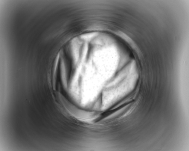 X0000088041337200706011317