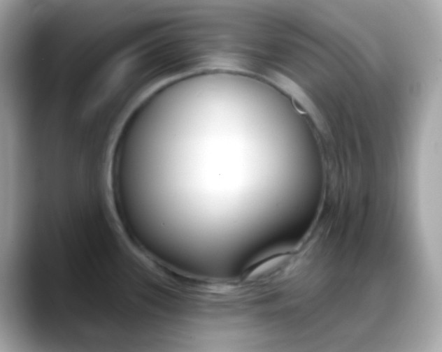 X0000088041339200706011317