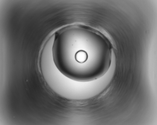 X0000088041340200706011317