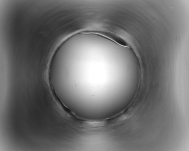 X0000088041344200706011317