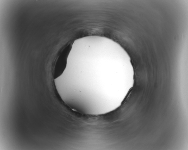 X0000088041345200706011316