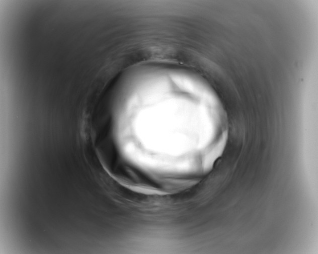 X0000088041346200706011316