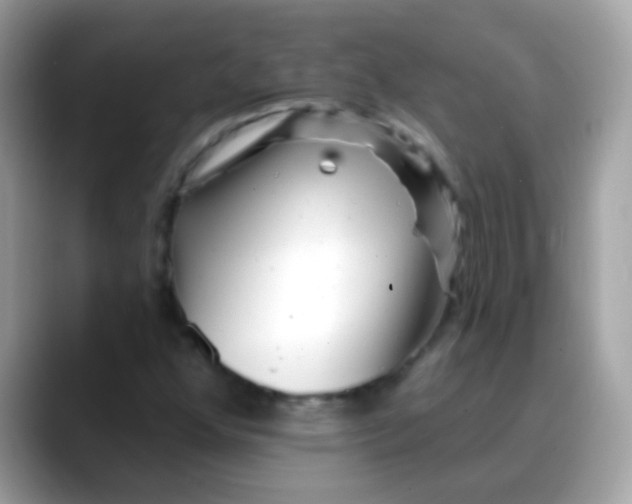 X0000088041352200706011316